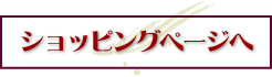 �V���b�s���O�y�[�W��